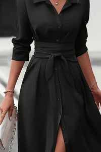 Sassy Collared Dress